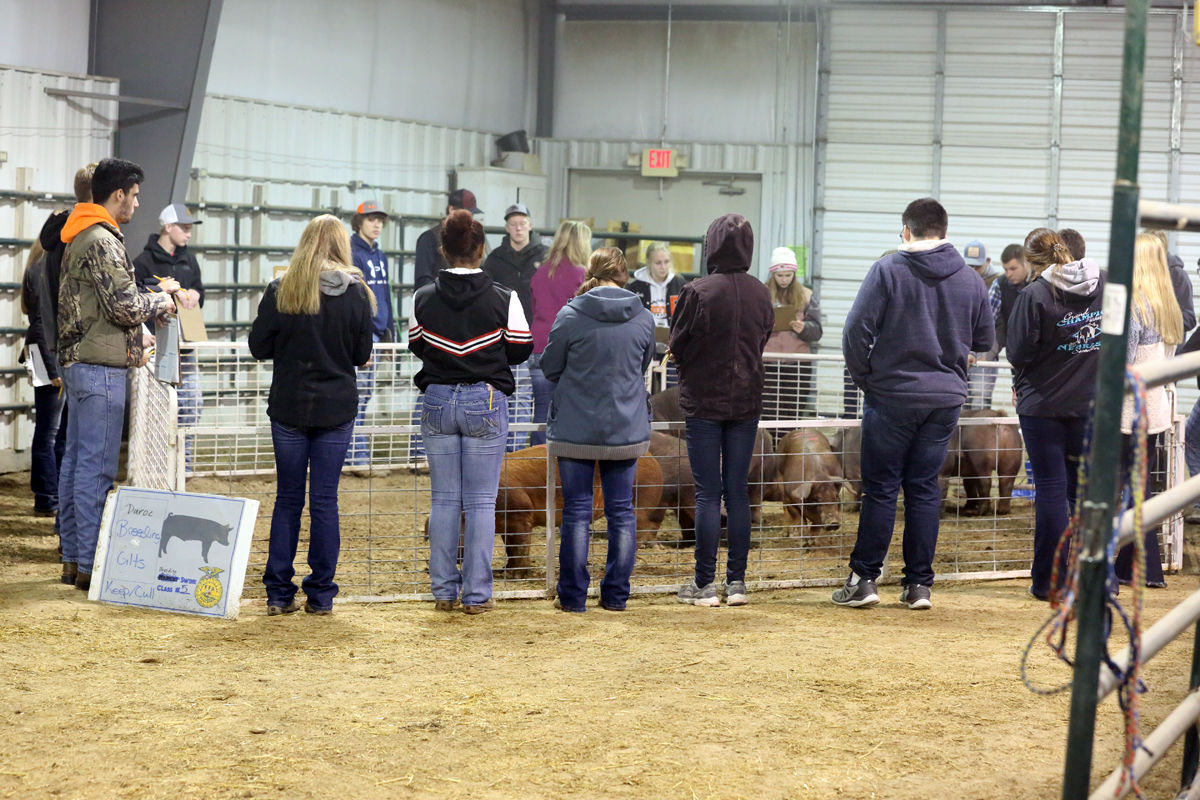 FFA Livestock Judging (18).JPG